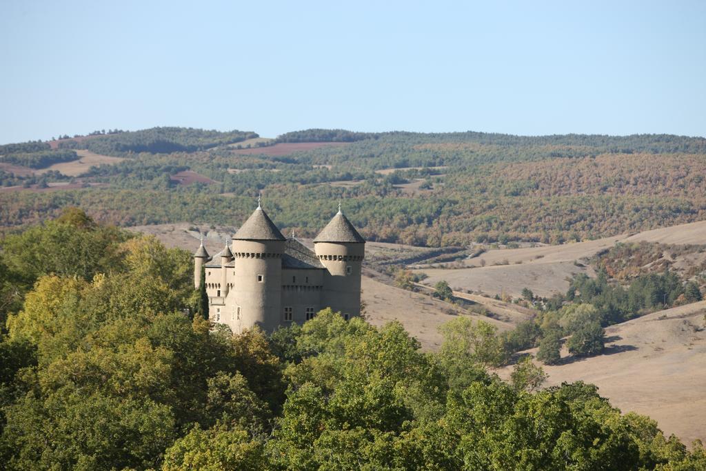 Chateau De Lugagnac Rivière-sur-Tarn Dış mekan fotoğraf