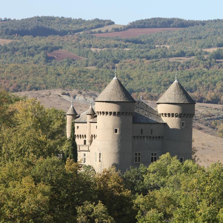 Chateau De Lugagnac Rivière-sur-Tarn Dış mekan fotoğraf